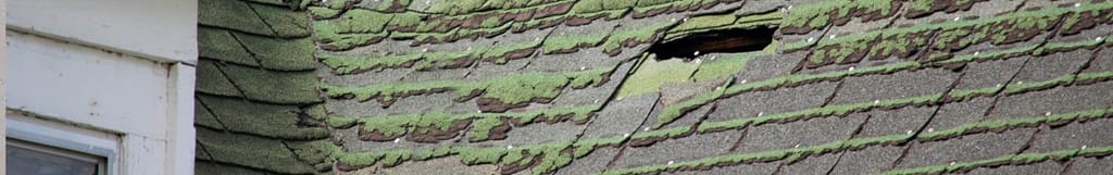 sagging asphalt roof covered in moss