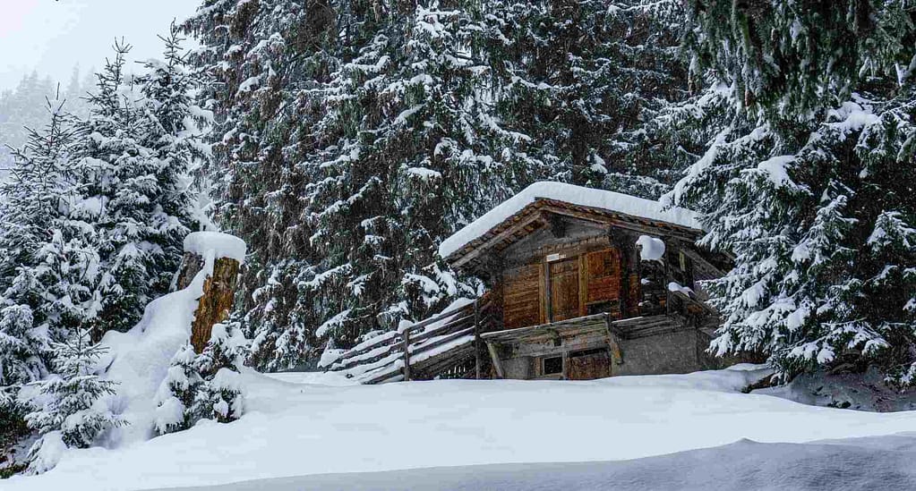 home around forest trees covered with snow