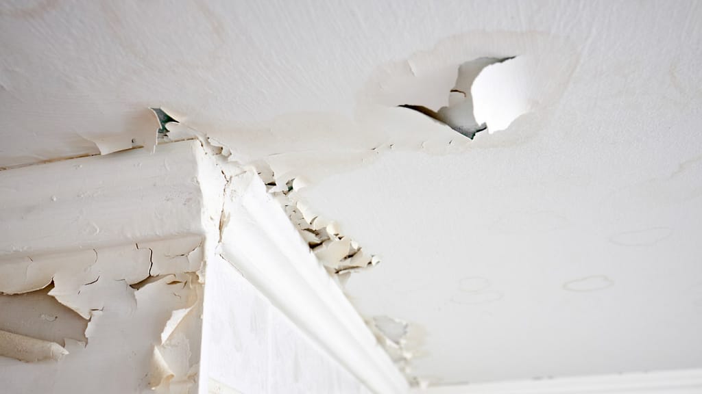 A damaged ceiling from a leaking roof