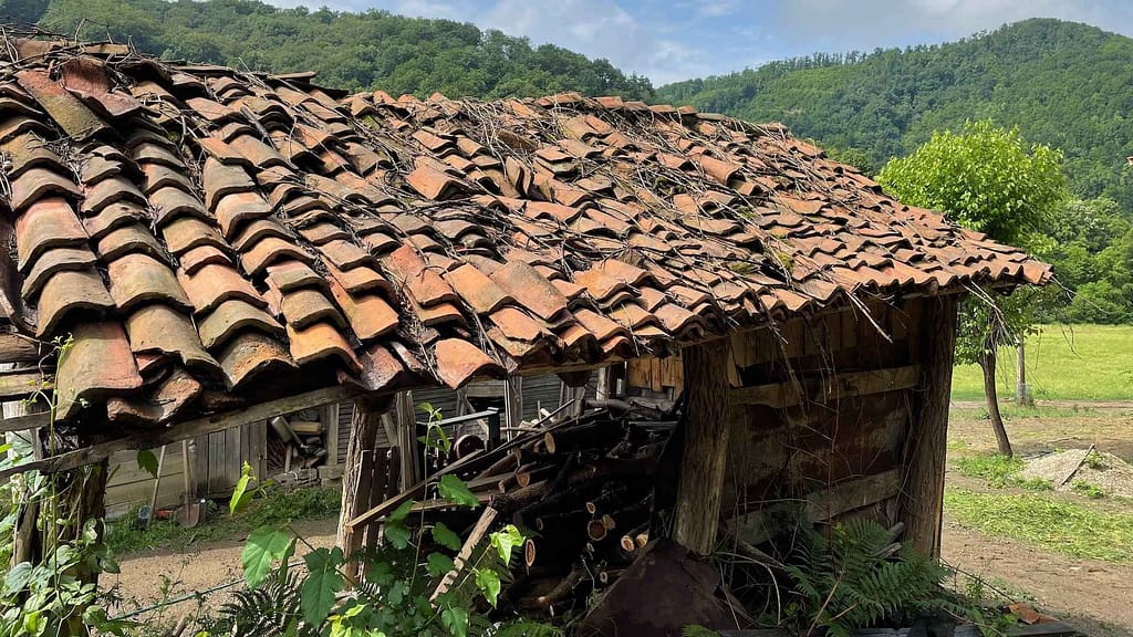 Planning the Florida new roof cost for this old damaged roof