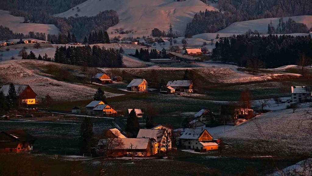 trees and home hillside in winter