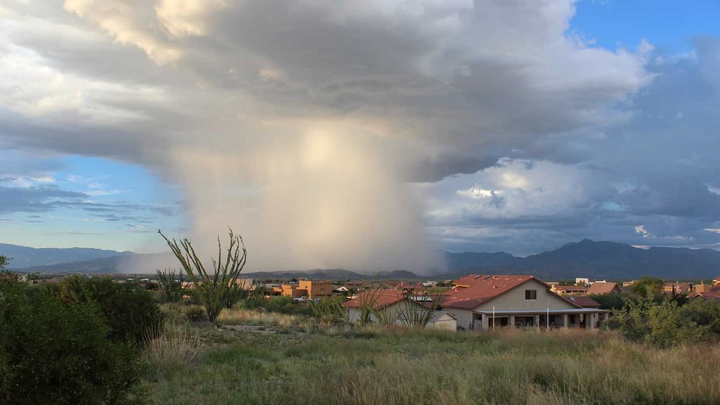 Arizona roofer inspected houses after the monsoon