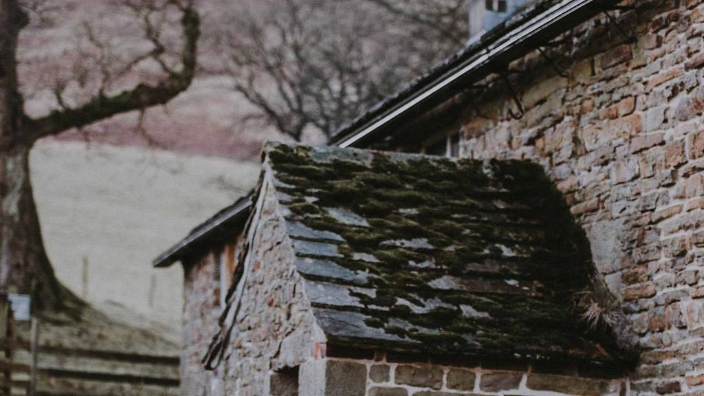 moss old roof  subjected to Alabama new roof cost estimation