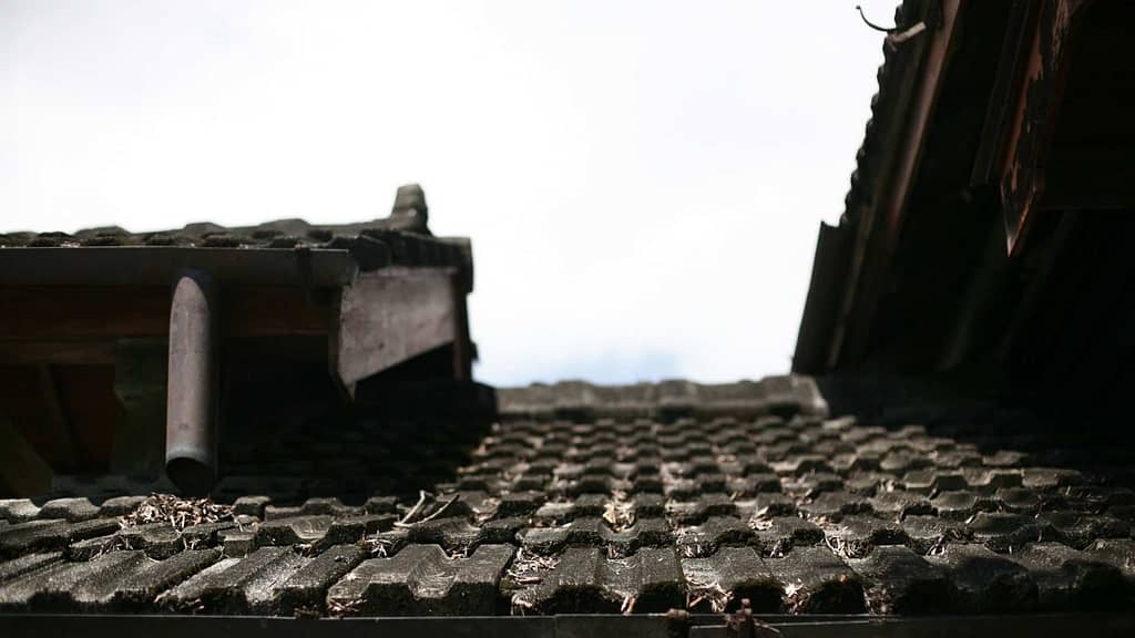 old faded and dirty home roof subject to Alaska roof replacement cost estimation