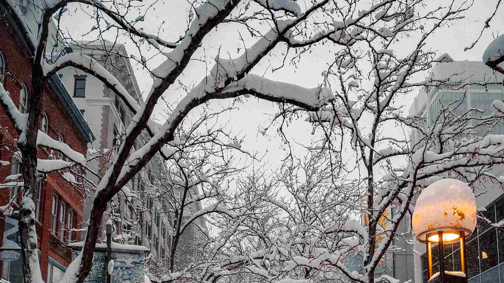 snow weather affect home roof lifespan