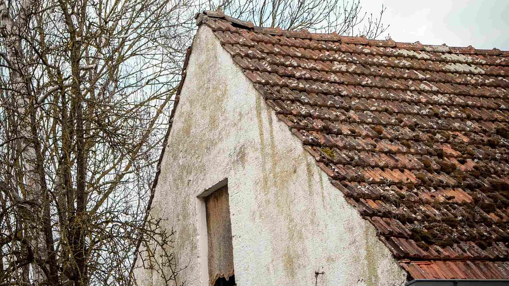 old faded roof with moss subject to Hawaii roof replacement cost estimation