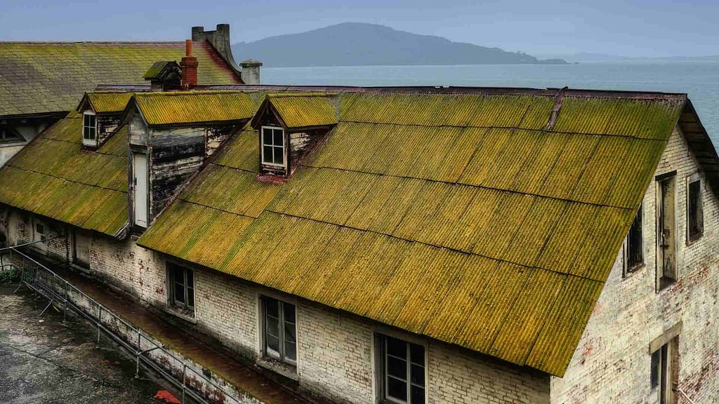 yellow faded old roof with moss subject  to West Virginia roof replacement cost estimation