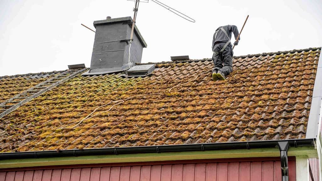Person scrubbing roof tiles covered in moss