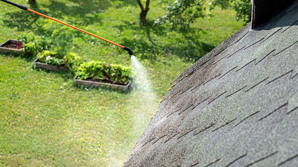 Spraying moss-cleaning solution on roof
