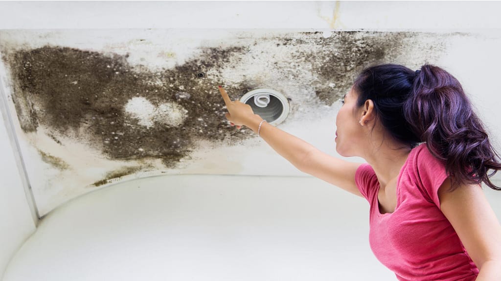 person pointing to a damaged ceiling caused by a roof leak
