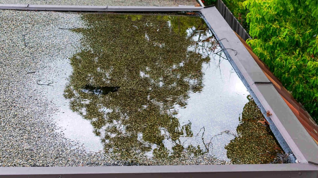 Ponding standing water on a flat roof