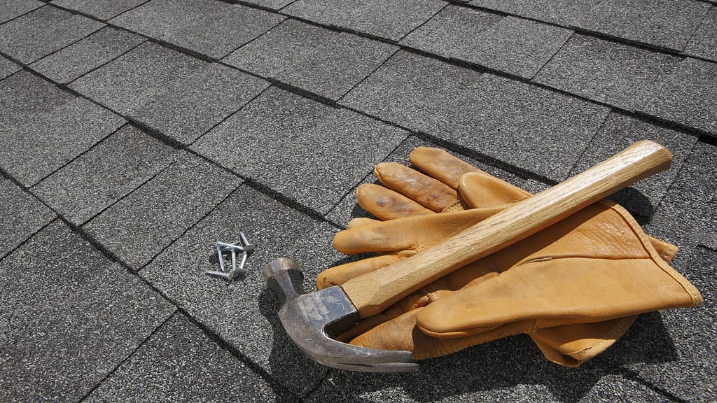 Roof maintenance