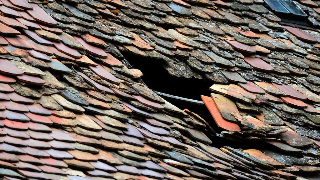 Roof with moss on it