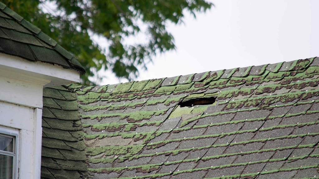 asphalt roof in bad condition