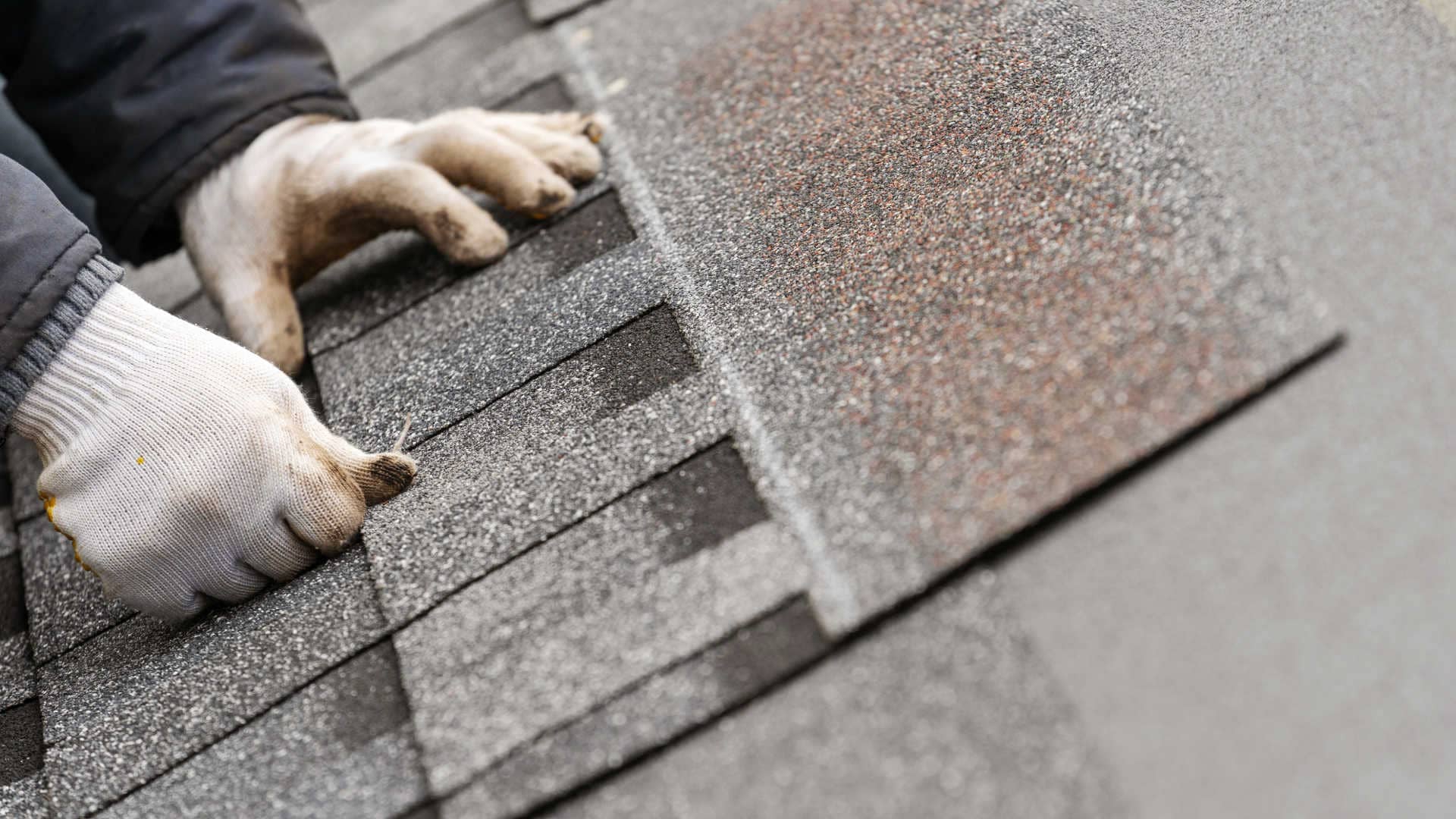 Regular Asphalt Shingle being installed on a roof.