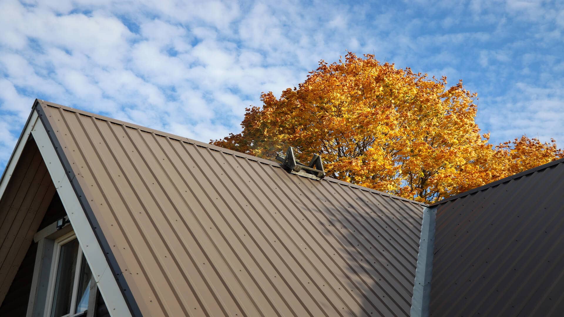 Metal roofing in a wooded area