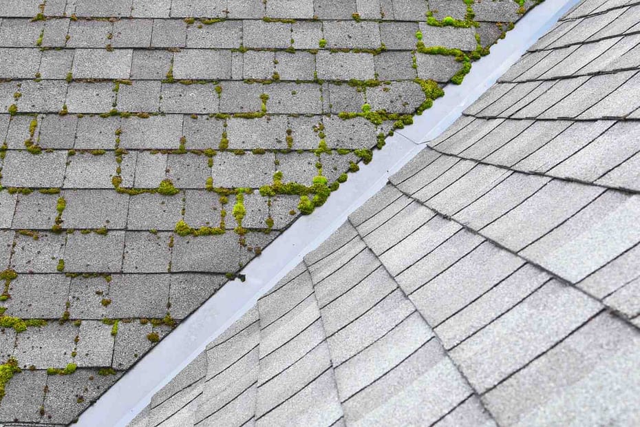 Asphalt Roof with moss growing on it
