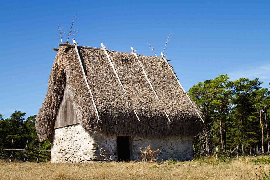 traditional thatched roof house