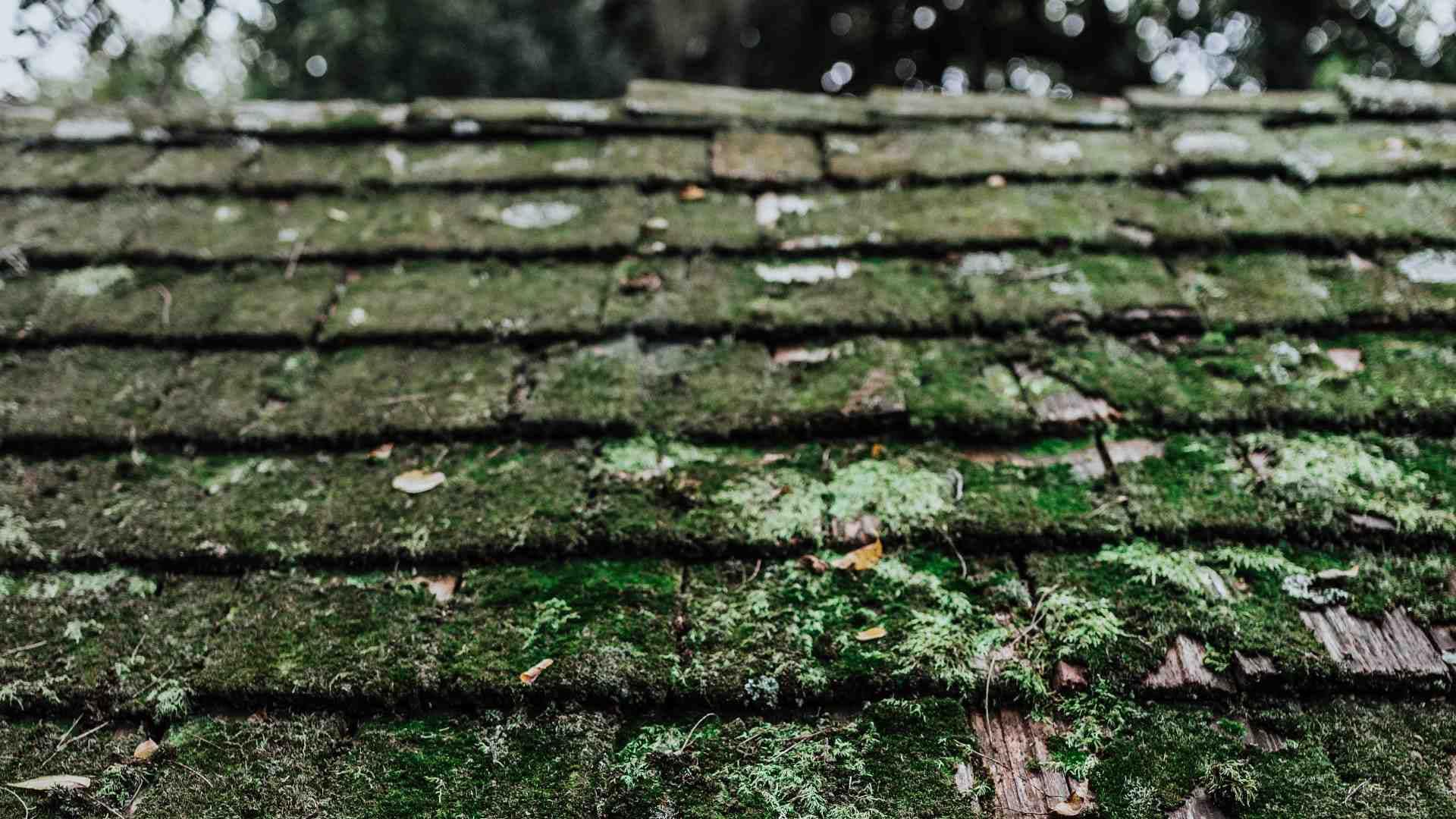 Arkansas Roofing Contractors Free Roofing Estimates in Seconds