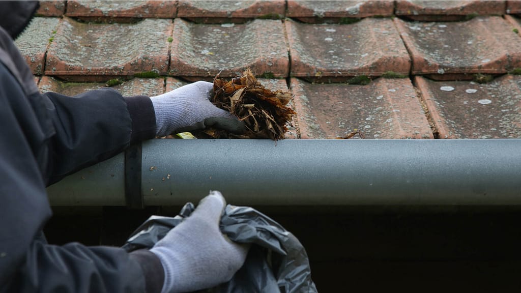 Person cleaning gutter