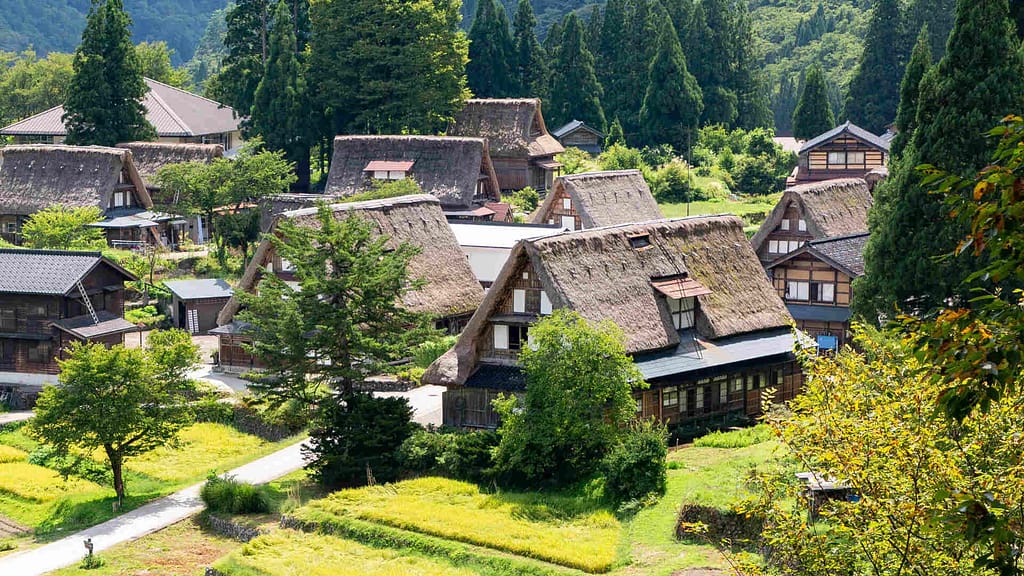 houses with thatched roofing