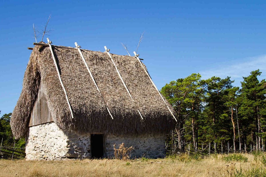 traditional thatched roof house