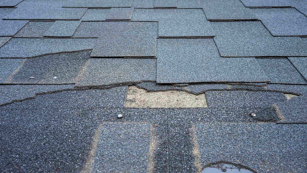 Damaged shingles