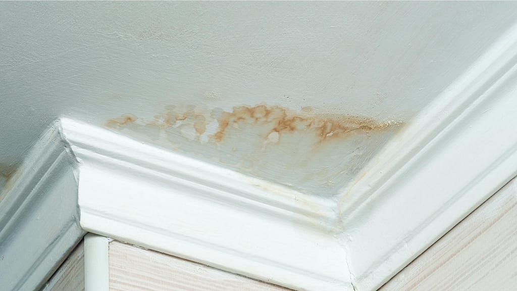 Water stain on the ceiling