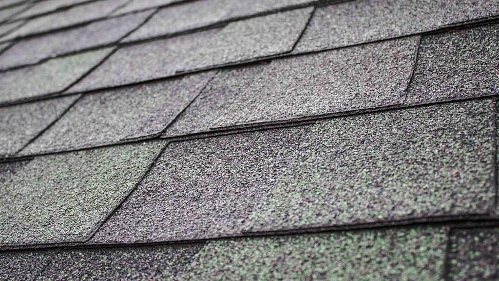 asphalt shingles