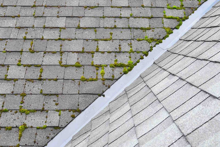 Asphalt Roof with moss growing on it