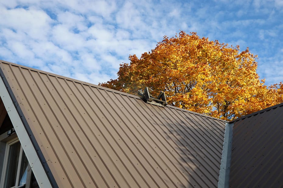 Metal roofing in a wooded area